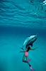 Atlantic spotted dolphin, Olympic swimmer Mikako Kotani. Bahamas. Image #00003
