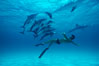 Atlantic spotted dolphin, Olympic swimmer Matt Biondi. Bahamas. Image #00009