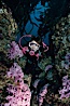 Hydrocoral. San Clemente Island, California, USA. Image #00644