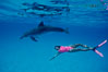 Atlantic spotted dolphin, Olympic swimmer Mikako Kotani. Bahamas. Image #00647