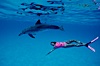 Atlantic spotted dolphin, Olympic swimmer Mikako Kotani. Bahamas. Image #00647