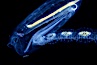 Salp (pelagic tunicate) reproduction, open ocean. San Diego, California, USA. Image #01263