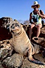 Galapagos sea lion. North Seymour Island, Galapagos Islands, Ecuador. Image #01669