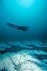 Squid eggs, La Jolla Canyon. La Jolla, California, USA. Image #01972