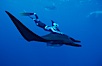 Manta ray and freediver. San Benedicto Island (Islas Revillagigedos), Baja California, Mexico. Image #02460
