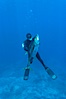James Tate with yellowfin tuna (approx 60 pounds) taken by breathold diving with a band-power speargun near Abalone Point.  July 2004. Guadalupe Island (Isla Guadalupe), Baja California, Mexico. Image #09599