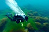 A SCUBA diver exhales a breath of air as he swims over surf grass on the rocky reef.  All appears blurred in this time exposure, as they are moved by powerful ocean waves passing by above.  San Clemente Island. San Clemente Island, California, USA. Image #10241
