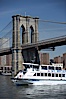 Lower Manhattan and the Brooklyn Bridge viewed from the East River. Manhattan, New York City, New York, USA. Image #11122