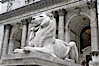 The stone lions Patience and Fortitude guard the entrance to the New York City Public Library. Manhattan, New York City, New York, USA. Image #11154