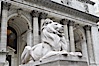 The stone lions Patience and Fortitude guard the entrance to the New York City Public Library. Manhattan, New York City, New York, USA. Image #11155