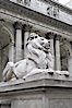 The stone lions Patience and Fortitude guard the entrance to the New York City Public Library. Manhattan, New York City, New York, USA. Image #11156