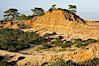 Broken Hill is an ancient, compacted sand dune that was uplifted to its present location and is now eroding. Torrey Pines State Reserve, San Diego, California, USA. Image #12014
