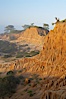 Broken Hill is an ancient, compacted sand dune that was uplifted to its present location and is now eroding. Torrey Pines State Reserve, San Diego, California, USA. Image #12016
