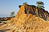 Broken Hill is an ancient, compacted sand dune that was uplifted to its present location and is now eroding. Torrey Pines State Reserve, San Diego, California, USA. Image #12017