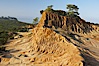 Broken Hill is an ancient, compacted sand dune that was uplifted to its present location and is now eroding. Torrey Pines State Reserve, San Diego, California, USA. Image #12020