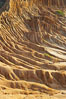 Broken Hill is an ancient, compacted sand dune that was uplifted to its present location and is now eroding. Torrey Pines State Reserve, San Diego, California, USA. Image #12021