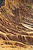 Broken Hill is an ancient, compacted sand dune that was uplifted to its present location and is now eroding. Torrey Pines State Reserve, San Diego, California, USA. Image #12021