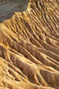 Broken Hill is an ancient, compacted sand dune that was uplifted to its present location and is now eroding. Torrey Pines State Reserve, San Diego, California, USA. Image #12022