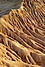Broken Hill is an ancient, compacted sand dune that was uplifted to its present location and is now eroding. Torrey Pines State Reserve, San Diego, California, USA. Image #12022
