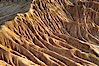 Broken Hill is an ancient, compacted sand dune that was uplifted to its present location and is now eroding. Torrey Pines State Reserve, San Diego, California, USA. Image #12023