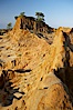 Broken Hill is an ancient, compacted sand dune that was uplifted to its present location and is now eroding. Torrey Pines State Reserve, San Diego, California, USA. Image #12024