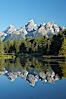 The Teton Range is reflected in the glassy waters of the Snake River at Schwabacher Landing. Schwabacher Landing, Grand Teton National Park, Wyoming, USA. Image #12985