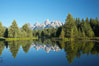 The Teton Range is reflected in the glassy waters of the Snake River at Schwabacher Landing. Grand Teton National Park, Wyoming, USA