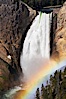 A rainbow appears in the mist of the Lower Falls of the Yellowstone River.  At 308 feet, the Lower Falls of the Yellowstone River is the tallest fall in the park.  This view is from Lookout Point on the North side of the Grand Canyon of the Yellowstone.  When conditions are perfect in midsummer, a midmorning rainbow briefly appears in the falls. Grand Canyon of the Yellowstone, Yellowstone National Park, Wyoming, USA. Image #13319