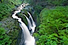 Sol Duc Falls.  Sol Duc Falls is one of the largest and most beautiful waterfalls in Olympic National Park, seen here from a bridge that crosses the canyon just below the falls. Surrounding the falls is an old-growth forest of hemlocks and douglas firs, some of which are three hundred years in age. Sol Duc Springs, Olympic National Park, Washington, USA. Image #13748