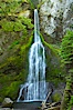 Marymere Falls cascades 90 feet through an old-growth forest of Douglas firs, near Lake Crescent. Lake Crescent, Olympic National Park, Washington, USA. Image #13765