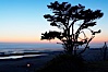 Sunset over the Pacific, Kalaloch Beach. Kalaloch, Olympic National Park, Washington, USA. Image #13789