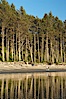 A couple walks along Ruby Beach at sunset. Ruby Beach, Olympic National Park, Washington, USA. Image #13811