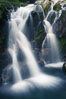 Paradise Falls tumble over rocks in Paradise Creek. Mount Rainier National Park, Washington, USA. Image #13867