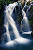 Paradise Falls tumble over rocks in Paradise Creek. Paradise Creek, Mount Rainier National Park, Washington, USA. Image #13867