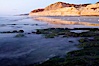 Eel grass sways in an incoming tide, with the sandstone cliffs of Torrey Pines State Reserve in the distance. Torrey Pines State Reserve, San Diego, California, USA. Image #14729