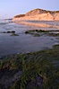 Eel grass sways in an incoming tide, with the sandstone cliffs of Torrey Pines State Reserve in the distance. Torrey Pines State Reserve, San Diego, California, USA. Image #14730