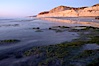 Eel grass sways in an incoming tide, with the sandstone cliffs of Torrey Pines State Reserve in the distance. Torrey Pines State Reserve, San Diego, California, USA. Image #14731