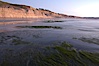 Eel grass sways in an incoming tide, with the sandstone cliffs of Torrey Pines State Reserve in the distance. Torrey Pines State Reserve, San Diego, California, USA. Image #14732