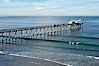 The Scripps Institution of Oceanography research pier is 1090 feet long and was built of reinforced concrete in 1988, replacing the original wooden pier built in 1915.  The Scripps Pier is home to a variety of sensing equipment above and below water that collects various oceanographic data.  The Scripps research diving facility is located at the foot of the pier.  Fresh seawater is pumped from the pier to the many tanks and facilities of SIO, including the Birch Aquarium.  The Scripps Pier is named in honor of Ellen Browning Scripps, the most significant donor and benefactor of the Institution. Scripps Institution of Oceanography, La Jolla, California, USA. Image #14748