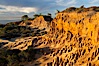 Broken Hill with the Pacific Ocean in the distance.  Broken Hill is an ancient, compacted sand dune that was uplifted to its present location and is now eroding. Torrey Pines State Reserve, San Diego, California, USA. Image #14757