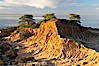 Broken Hill with the Pacific Ocean in the distance.  Broken Hill is an ancient, compacted sand dune that was uplifted to its present location and is now eroding. Torrey Pines State Reserve, San Diego, California, USA. Image #14758