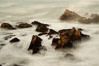 Waves breaking over rocks appear as a foggy mist in this time exposure.  Pacific Grove. Lovers Point, California, USA. Image #14908