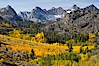 Aspen trees cover Bishop Creek Canyon above Aspendel. Bishop Creek Canyon, Sierra Nevada Mountains, Bishop, California, USA. Image #17528