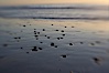 Beach stones and wet sand, reflections of sunset. Ponto, Carlsbad, California, USA. Image #17985