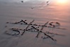 Tic-tac-toe in the sand on the beach. Ponto, Carlsbad, California, USA. Image #17987
