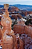 Bryce Canyon hoodoos line all sides of the Bryce Amphitheatre. Bryce Canyon National Park, Utah, USA. Image #18613