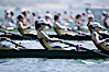 Cal (UC Berkeley) women en route to a second place finish in the Jessop-Whittier Cup final, 2007 San Diego Crew Classic. Mission Bay, San Diego, California, USA. Image #18646
