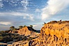 Broken Hill is an ancient, compacted sand dune that was uplifted to its present location and is now eroding. Torrey Pines State Reserve, San Diego, California, USA. Image #18930