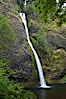 Horsetail Falls drops 176 feet just a few yards off the Columbia Gorge Scenic Highway. Horsetail Falls, Columbia River Gorge National Scenic Area, Oregon, USA. Image #19316