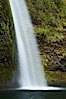 Horsetail Falls drops 176 feet just a few yards off the Columbia Gorge Scenic Highway. Horsetail Falls, Columbia River Gorge National Scenic Area, Oregon, USA. Image #19317